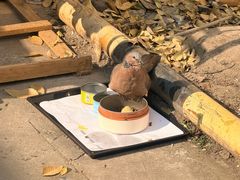 -西安大唐西市博物馆