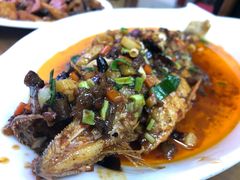 干烧大黄鱼-白魁老号饭庄(交道口店)