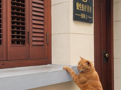 -思南公馆