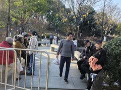 -武汉园博园(武汉自然博物馆)