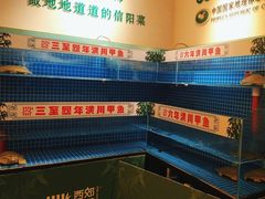 -西郊竹园甲鱼面(老一中店)