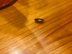 -花溪雨·森林餐厅(石基店)