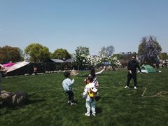 -桃园农庄·桃源宴