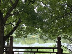-北坞公园