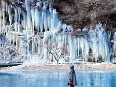 -少华山国家森林公园