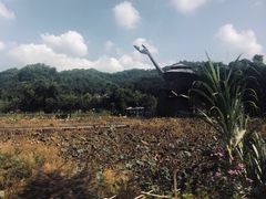 -红山村