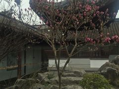 -碧丽宫大酒店(召稼楼店)