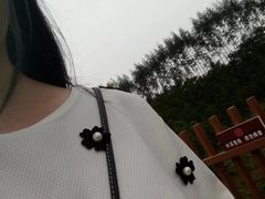 -迪茵湖田家舍生态农场