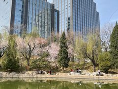 -团结湖公园