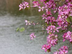 -东山湖公园