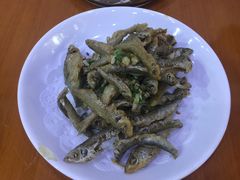 -全乐鱼馆·淳牌有机鱼直营店
