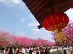 -秀丽东方