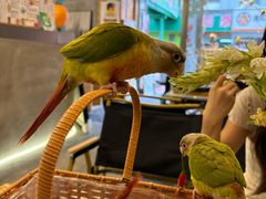 -吾叁·吉趣鸟咖(万科店)