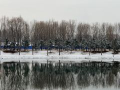 -东郊湿地公园