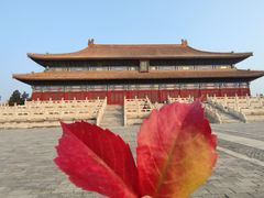 -北京市劳动人民文化宫(太庙)