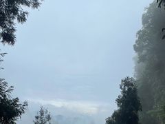-刘伯温故里景区百丈漈