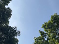 -Big Bamboo 大竹子体育主题餐厅(虹梅路店)