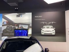 -TESLA 特斯拉(郑州正弘城体验店)
