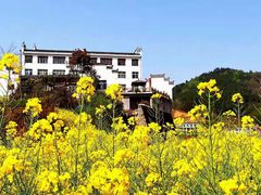 -后柳水乡