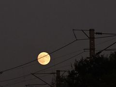 -前关湿地公园
