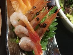 -鲤·鮨KOISUSHI