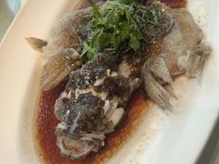 -张生记(丁香国际店)