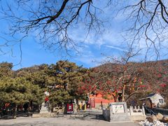 -潭柘寺景区