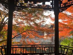 -水绘园