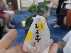 -帝京日语(春熙路旗舰校区)