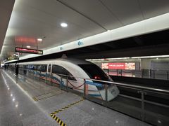 -龙阳路磁悬浮列车总站-停车场