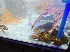 -物美大卖场(玉蜓桥店)
