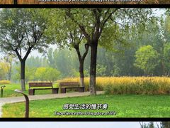 -汉长安城未央宫国家考古遗址公园