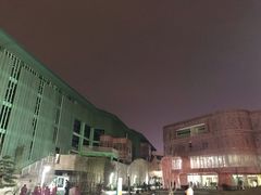 -杭州观成实验学校