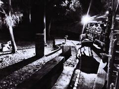 -清迈夜间动物园