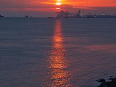 -上海吴淞炮台湾国家湿地公园