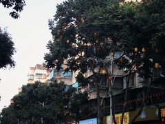 -普宁反沙番薯芋头