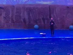 -华夏文旅海洋公园