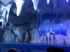 -多彩贵州城极地海洋世界