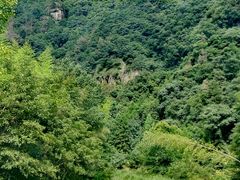 -龙湾潭国家森林公园