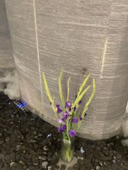 -美壹生皮肤管理中心