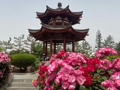 -大慈恩寺(大雁塔)