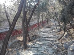 -阳台山自然风景区