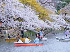 -井之头恩赐公园