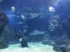 -暹罗海洋世界