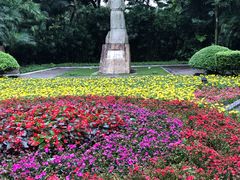 -柳侯公园
