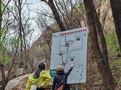 -大岭沟猕猴桃谷风景区