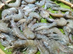 -集杰尚品海鲜烤肉自助餐厅(乳山振华店)