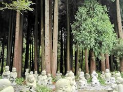 -武陵山森林公园
