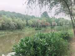 -新江湾城公园