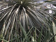 -北京植物园-展览温室